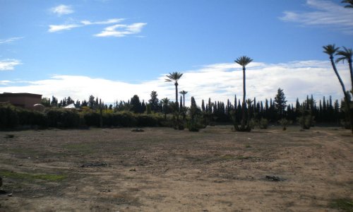 Terrain titré Palmeraie - Palmeraie - Marrakech
