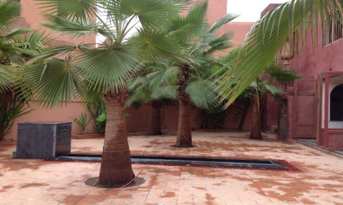 Local vide Guéliz - Guéliz - Marrakech