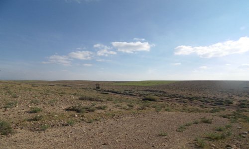 Terrain titré axe Assoufid - Autres - Marrakech