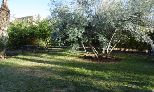 Villa 4 chambres axe Agdal - Agdal - Marrakech