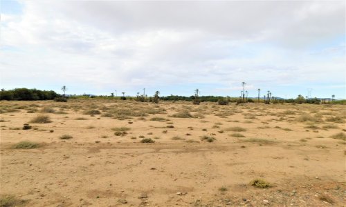 3 Hectares titrés Palmeraie - Autres - Marrakech